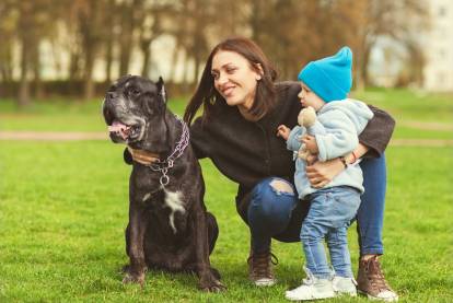Une jeune femme accroupie dans l'herbe enlaçant un enfant et un Cane Corso
