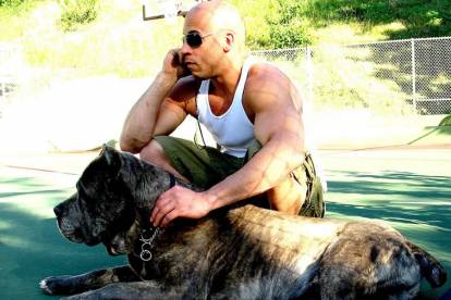 Vin Diesel accroupi à côté de son Cane Corso