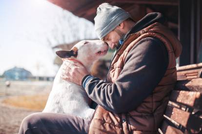 Un Bull Terrier, la truffe contre le nez de son propriétaire
