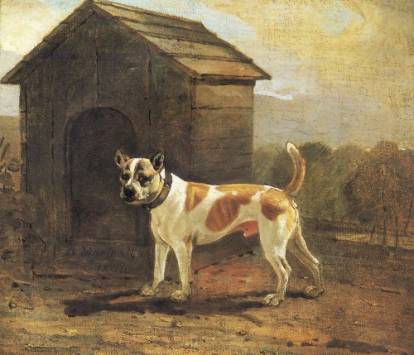 Un tableau de 1812 du peintre Benjamin Marshall représentant un Bull Terrier nommé Dustman