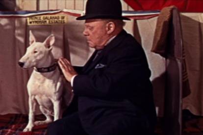 Le chien Wildfire dans le film « It’s a Dog’s Life »