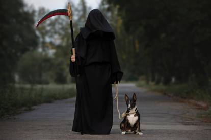 Un Bull Terrier noir et blanc avec une corde autour du cou, tenu par la faucheuse