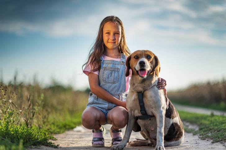 Photo Chien Courant d'Estonie