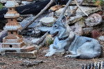 Un Chien-Loup Américain  allongé sur une surface herbacée et portant une ceinture autour du cou