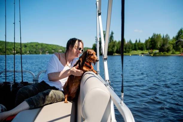 Un Teckel assis sur un bateau avec une femme, naviguant sur le lac d’un parc Canadien