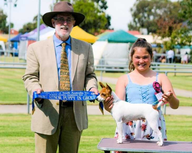 Roxie - Tenterfield Terrier
