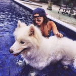 Yo & Kardia - Samoyède Mâle