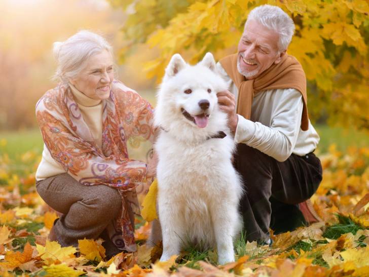 Un couple âgé avec un Samoyède pose devant des couleurs d'automne
