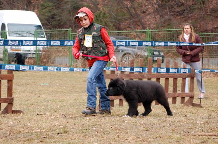 Photo Ciobanesc Romanesc Corb
