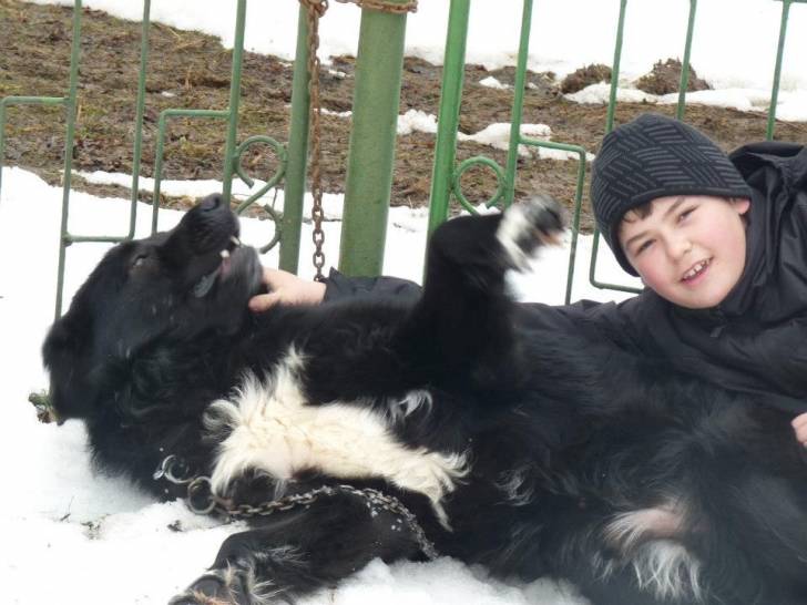 Photo Ciobanesc Romanesc Corb