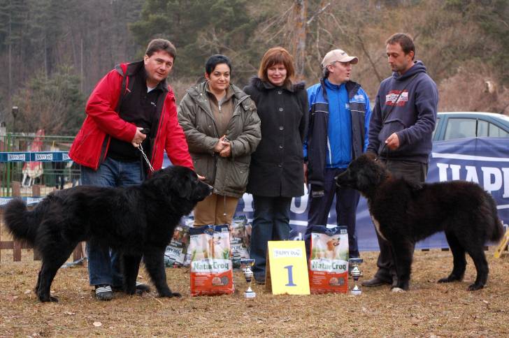 Photo Ciobanesc Romanesc Corb