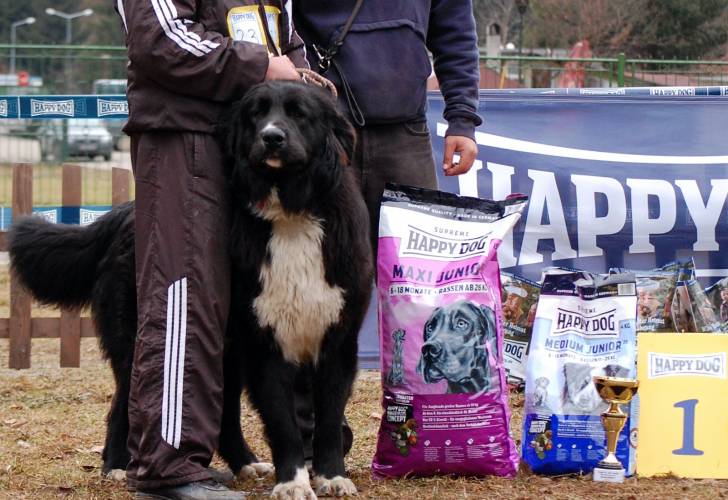 Photo Ciobanesc Romanesc Corb