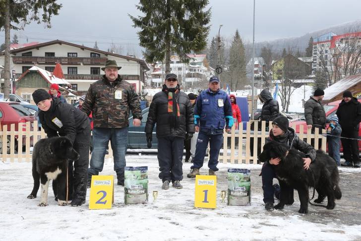 Photo Ciobanesc Romanesc Corb