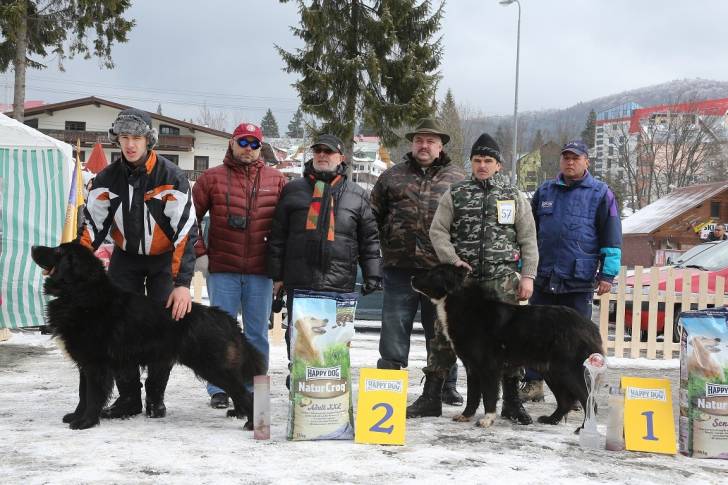 Photo Ciobanesc Romanesc Corb