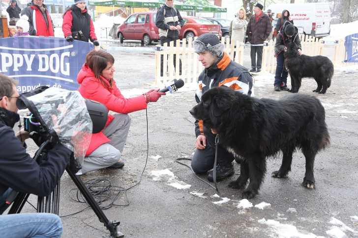 Photo Ciobanesc Romanesc Corb