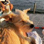 Un Chizer allongé, entouré de boissons, de nourriture et qui semble heureux.