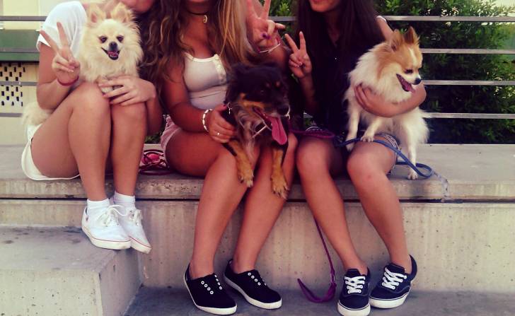 Mini, Estrella y Roco < 3 - Loulou de Poméranie (6 ans)