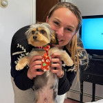 Une Dorkie portant une petite cravate au cou, tenue par une femme.
