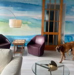 Un Boxador à poil bicolore marche dans une pièce et porte un collier autour du cou.