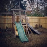 Un Pyrador de pelage blanc aux oreilles tombantes est debout sur un toboggan.