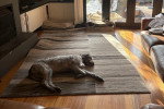 Un Irish Wolfhound allongé sur un tapis et semblant détendu 