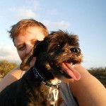 Un Cock-A-Tzu portant un collier avec sa langue sortie avec une personne derrière 