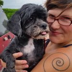 Un Cock-A-Tzu tenu par une personne