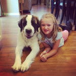 Un Saint Dane allongé avec une petite fille et qui regarde la caméra 