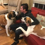 Deux saint Dane accompagnés de leur maître et qui semblent détendus.