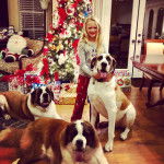  Trois Saint-Danes, dont l’un porte une médaille autour du cou avec leurs maîtresse. Ils tirent tous la langue.