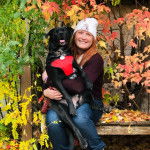 Un Labrastaff au pelage noir, à la langue pendante et portant un harnais rouge, se trouve dans les bras de sa propriétaire.
