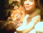 Lhasa apso----nounou 3 ans - Lhassa Apso (3 ans)