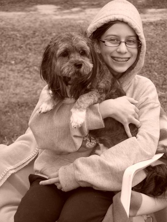 Koda - Lhassa Apso Mâle (8 ans)