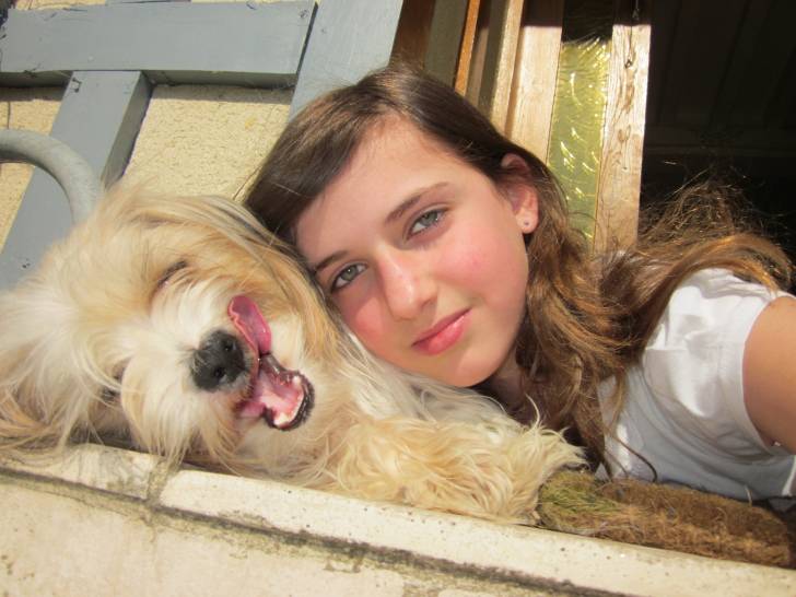 Swann et moi - Lhassa Apso Femelle (1 an)