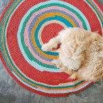 Un Bordoodle allongé, qui semble dormir.