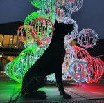 Un Canis Panther de profil est assis devant une effigie illuminée.