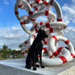 Un Canis Panther de pelage noir assis sur une éffigie la langue pendante 