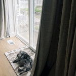 Un Doxiepoo au pelage tricolore allongé et qui semble dormir