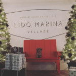 Un Doxiepoo de pelage bicolore assis sur un banc en bois et qui regarde la caméra