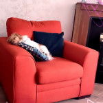 Un Jack-A-Poo au pelage bicolore,allongé dans un canapé et semblant endormi 