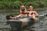 Un king Shepherd assis dans un kayak, et portant un gilet de sauvetage