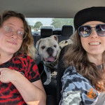 Un Shorty Bull assis sur la banquette arrière d'une voiture