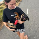 Photo d’une personne tenant un petit Pugalier sur une route