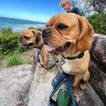 Deux Pugaliers assis sur un mur de roche surplombant l’océan