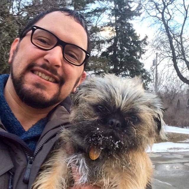 Un Pug Zu tenu dans les bras d'une personne