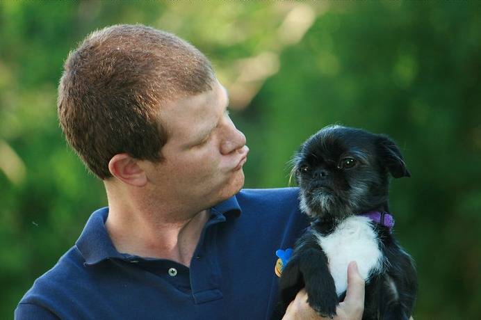 Un Pug Zu tenu par une personne avec en arrière-plan de la verdure