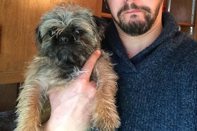 Un Pug Zu tenu par une personne