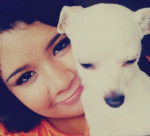 Beba - Chihuahua (3 ans)