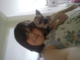 harley - Chihuahua Mâle (1 an)