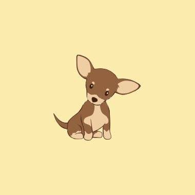 lai - Chihuahua (5 mois)